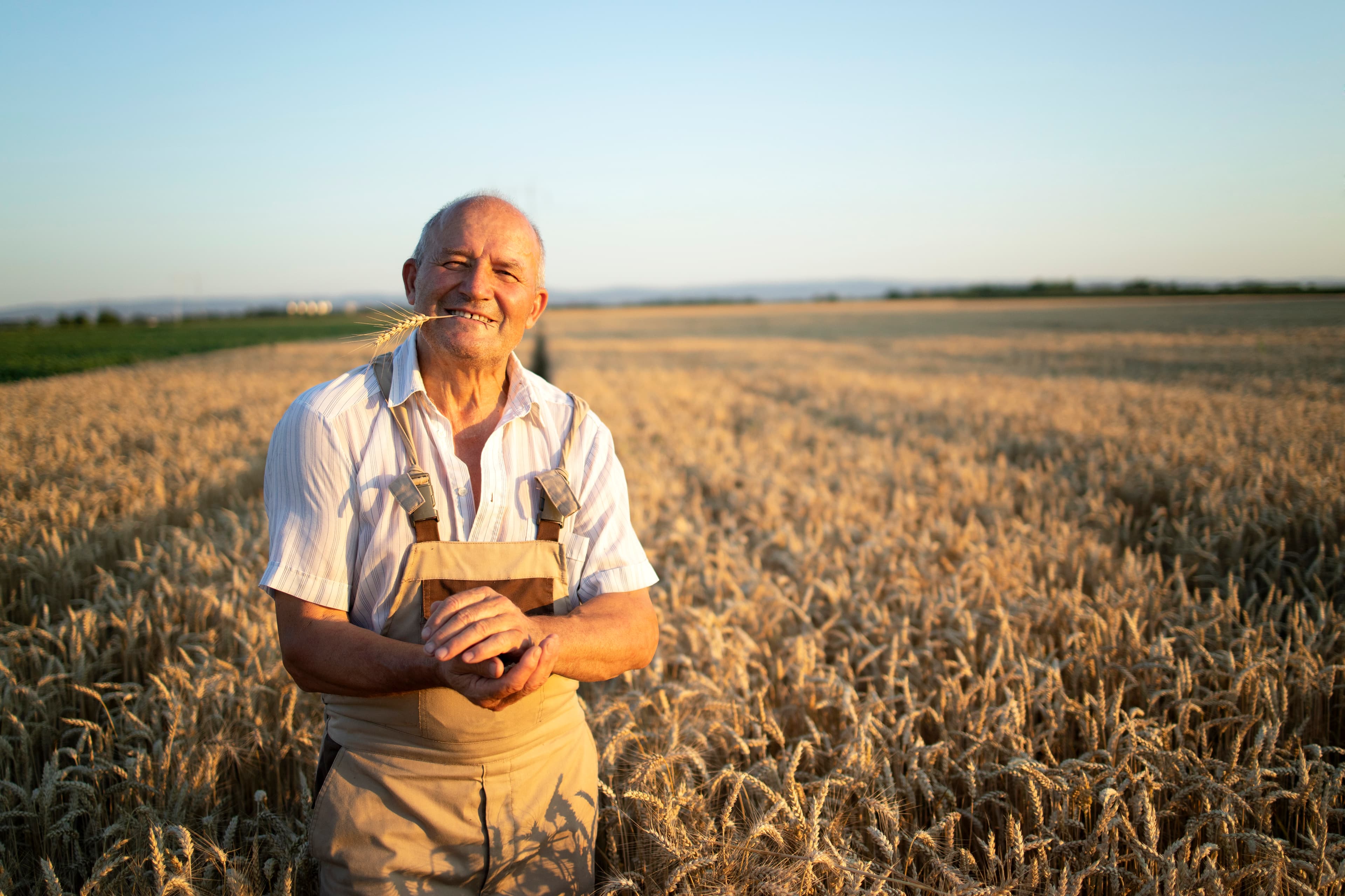Produtor rural em campo de trigo